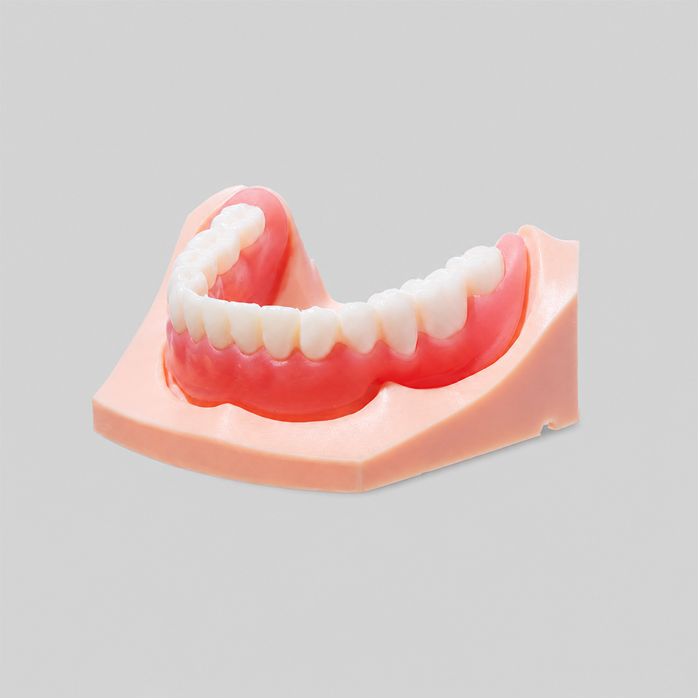Denture Base Resin application 1