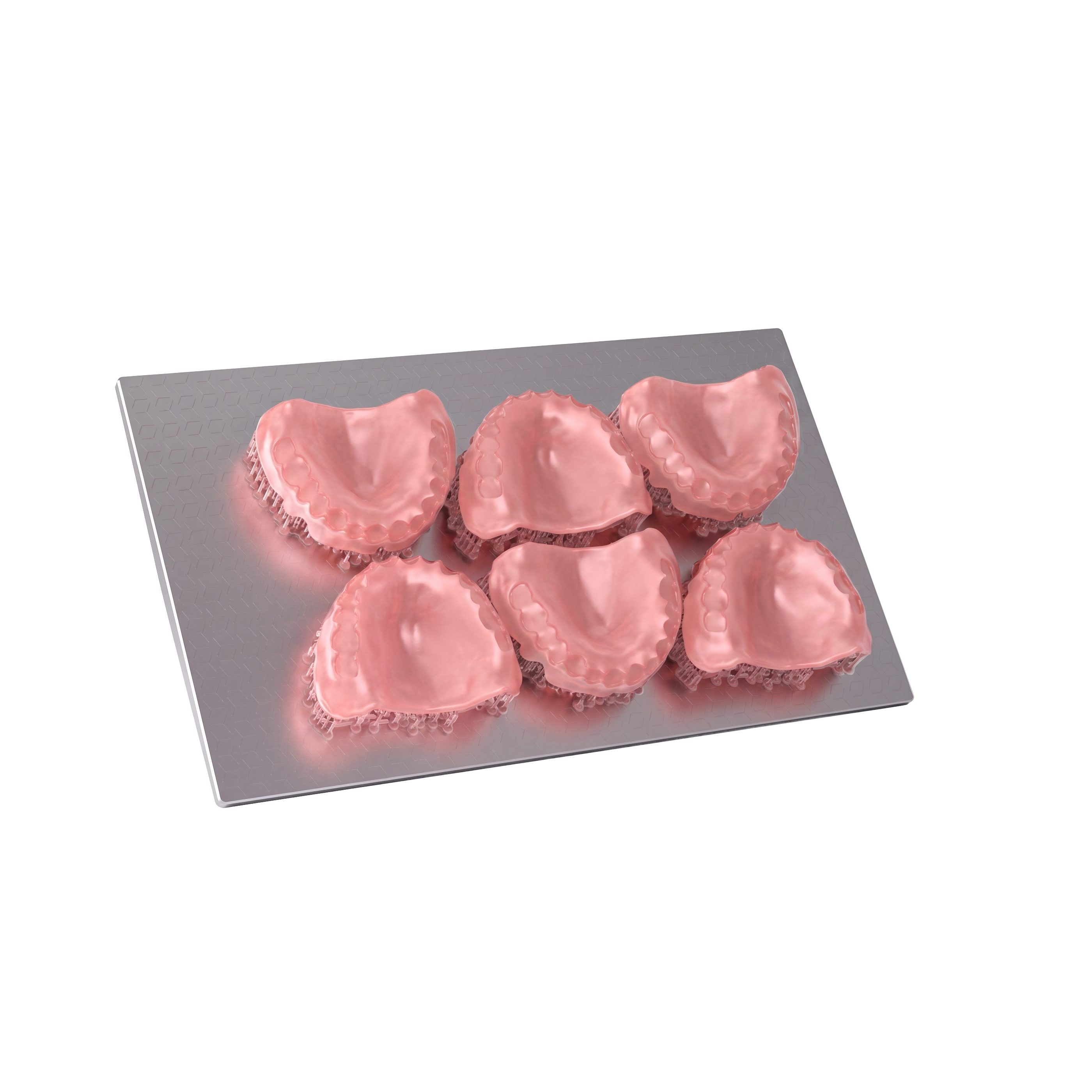 Denture Base Resin application 3