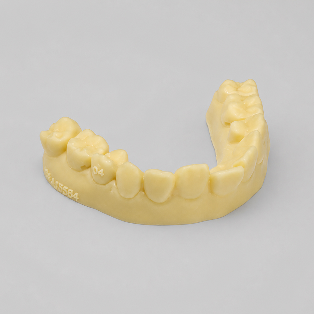 Ortho Model Resin application 2