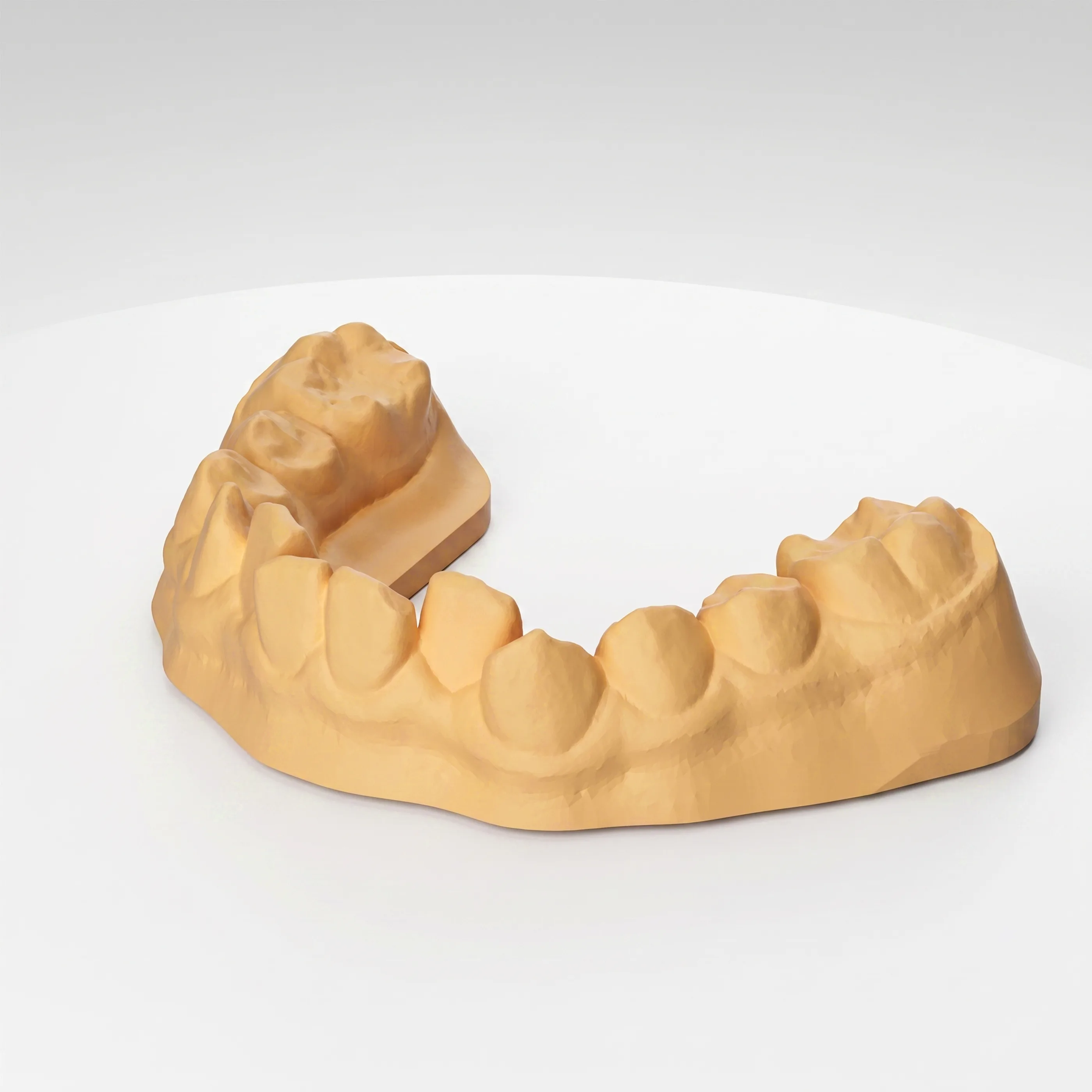 Ortho Model Resin application 1