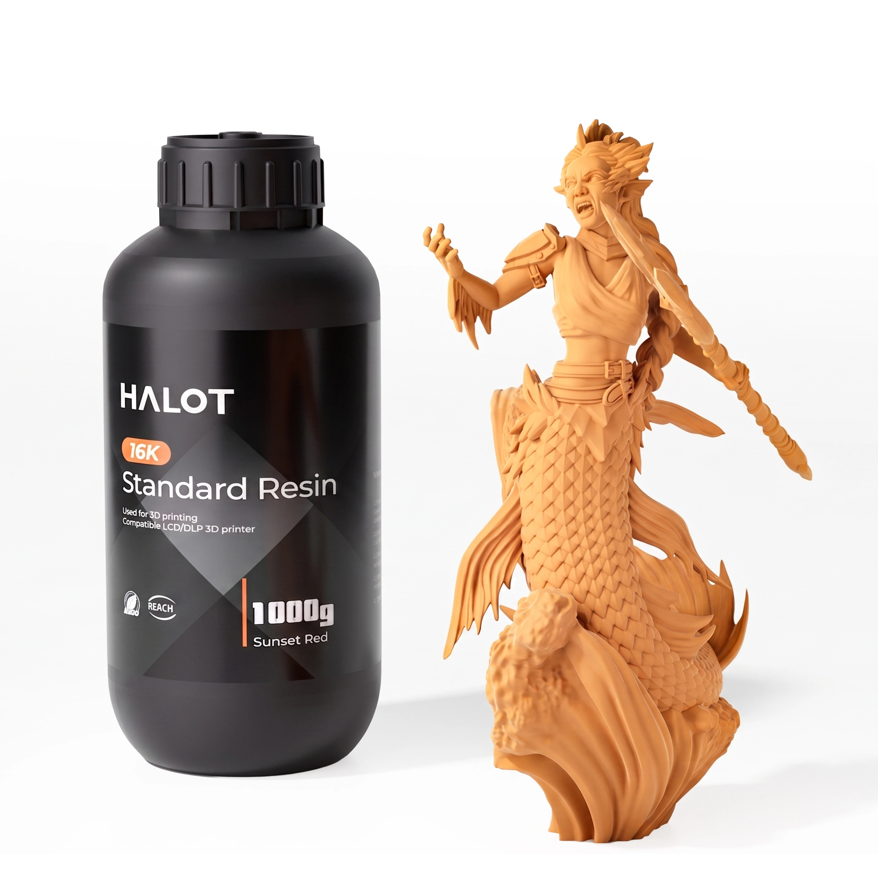 16K Standard Resin application 3