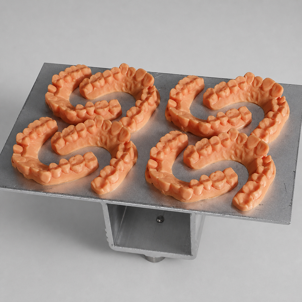 Ortho Model 2.0 Resin application 1