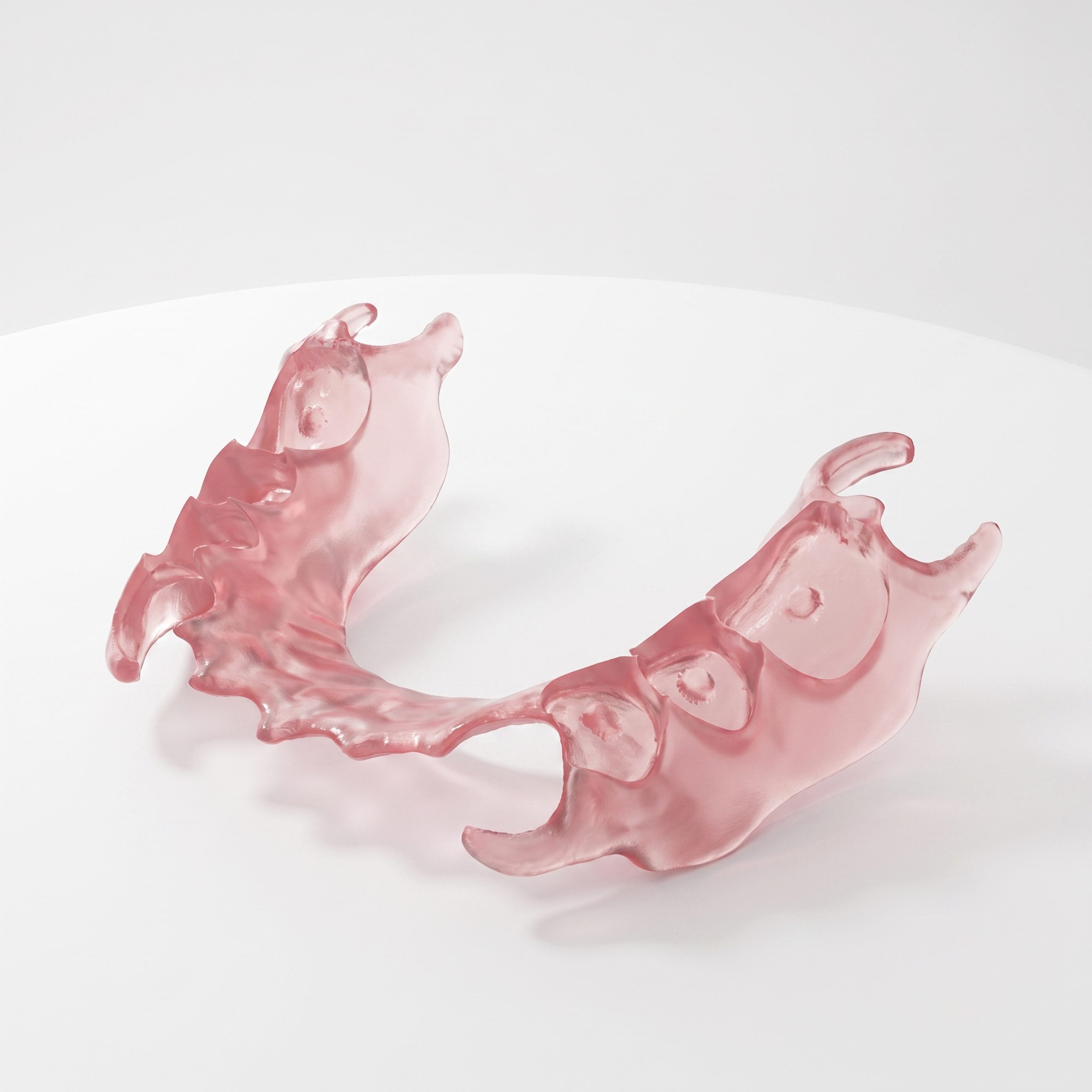 Flexible Denture Base Resin application 1