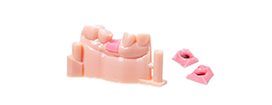 Gingiva Resin