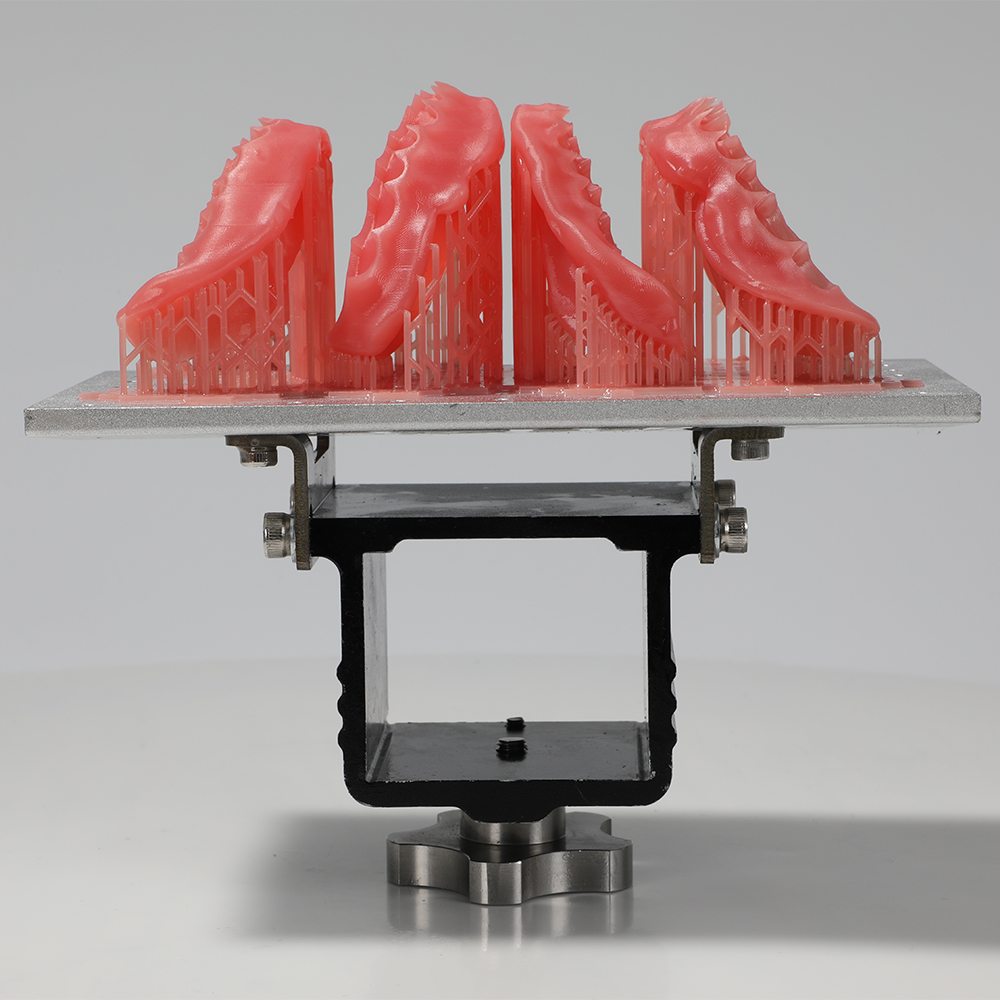 Denture Base Resin application 3