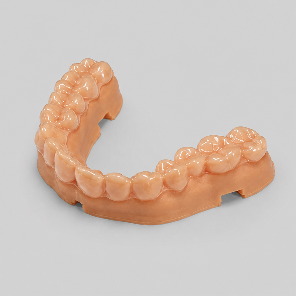 Ortho Model 2.0 Resin application 3