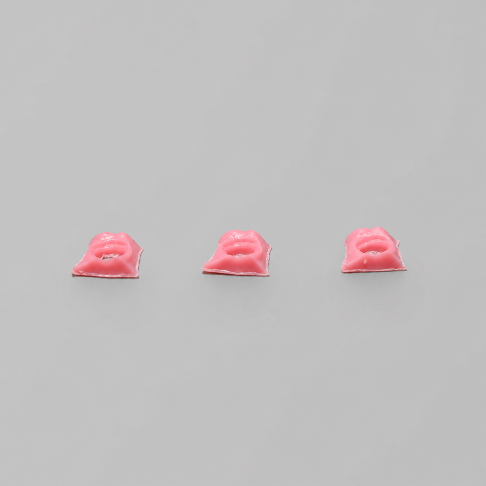 Gingiva Resin application 3