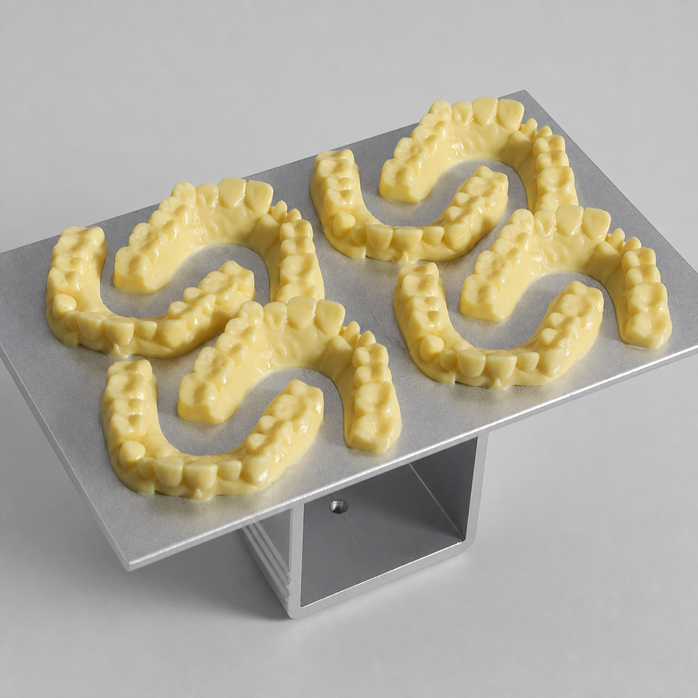 Ortho Model Resin application 1