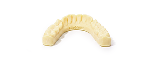 Ortho Model Resin