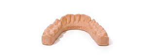 Ortho Model 2.0 Resin