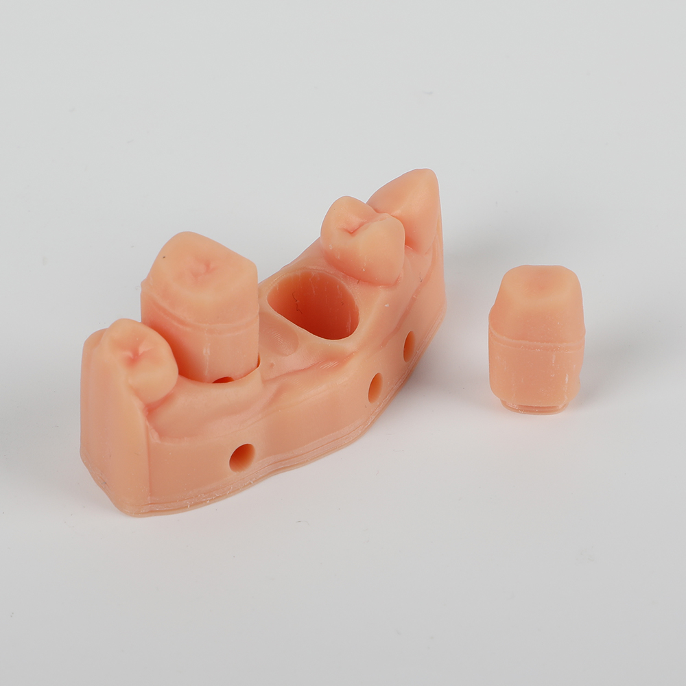 Removable Die Model Resin application 3