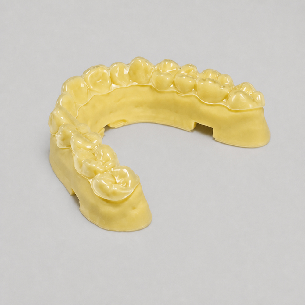 Ortho Model Resin application 3