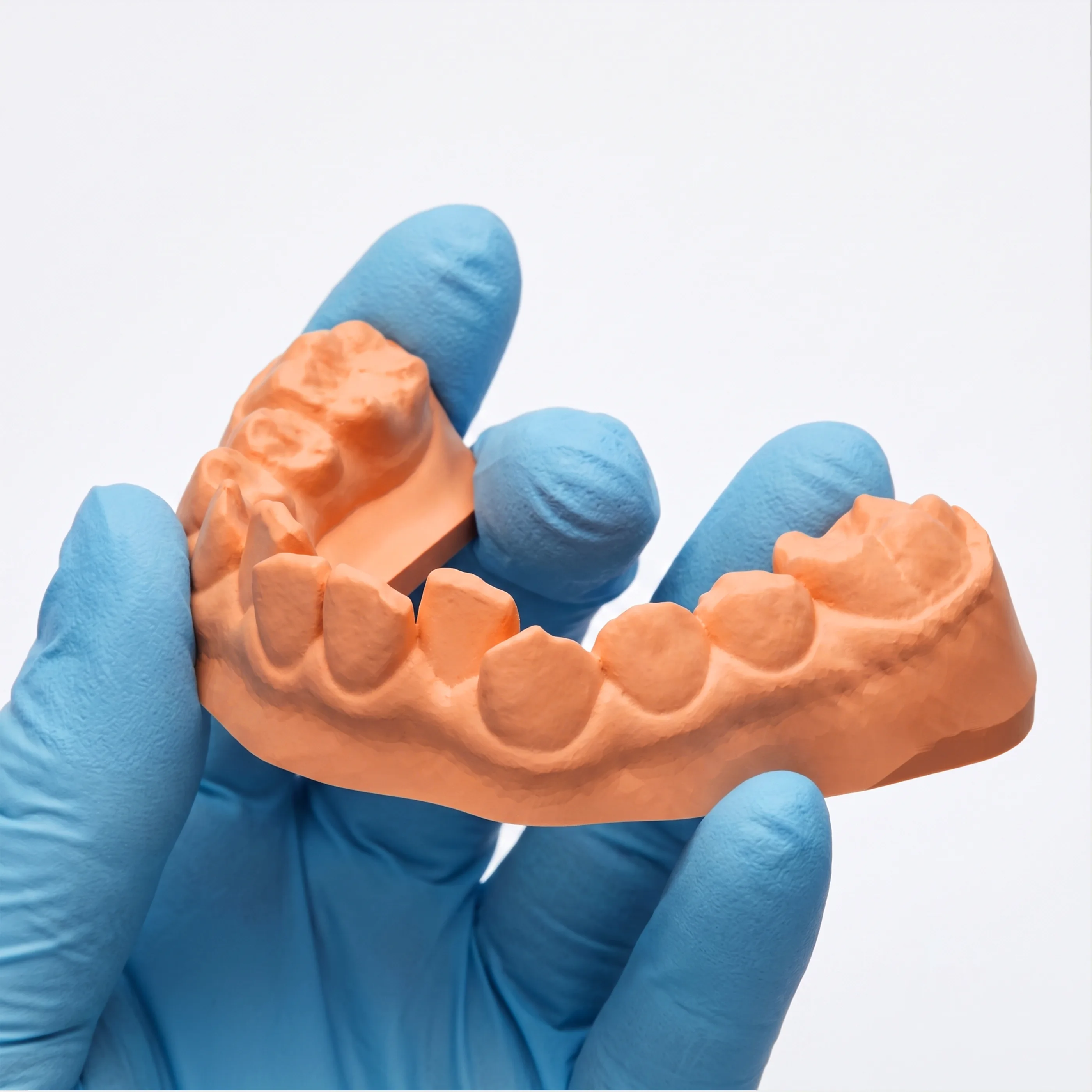 Ortho Model 2.0 Resin application 2