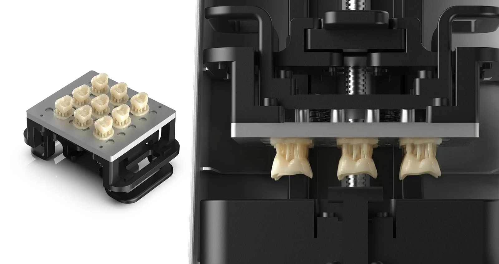 Dental crowns on the PioNext Mini build platform after printing