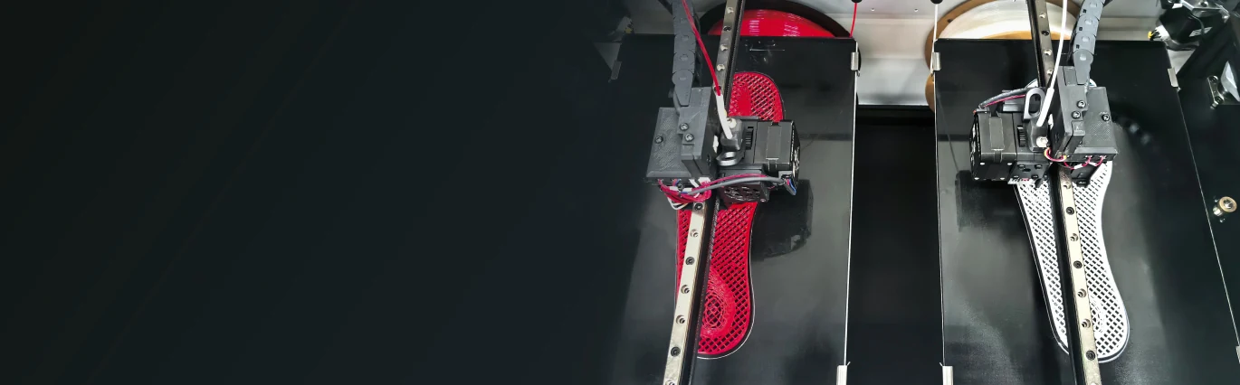 IPX2 dual printheads producing two different insoles simultaneously
