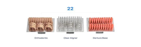 Batch layouts for orthodontic models, clear aligners and denture bases on PioNext Ultra
